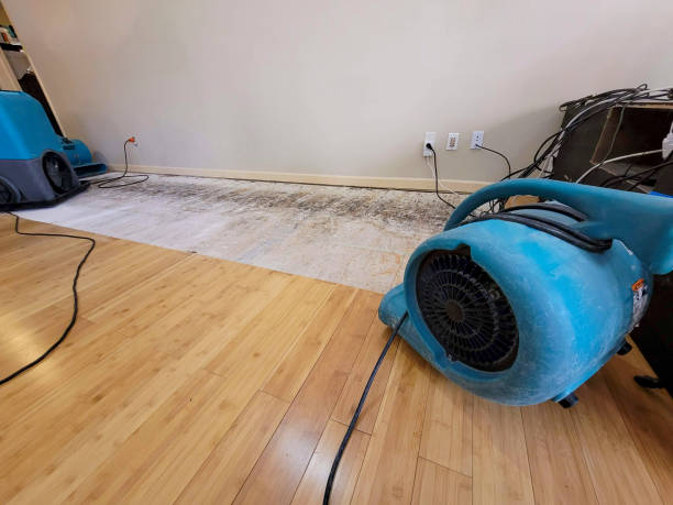 Professional Flood Damage Cleanup technician working in Dateland, AZ
